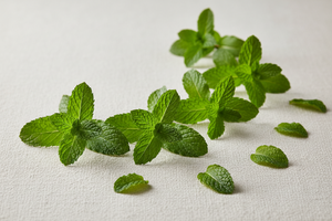 Mint